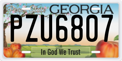 GA license plate PZU6807