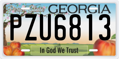 GA license plate PZU6813