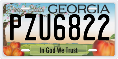 GA license plate PZU6822