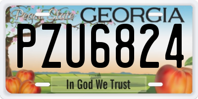 GA license plate PZU6824