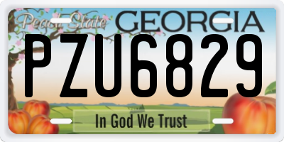 GA license plate PZU6829