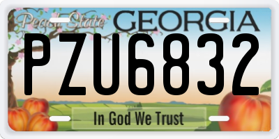 GA license plate PZU6832