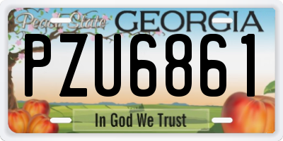 GA license plate PZU6861