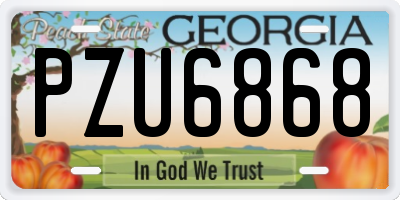 GA license plate PZU6868
