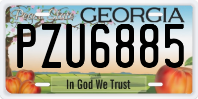 GA license plate PZU6885