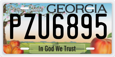GA license plate PZU6895