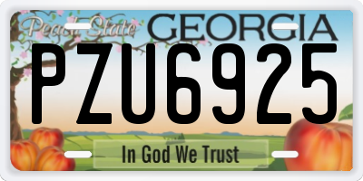 GA license plate PZU6925