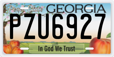 GA license plate PZU6927