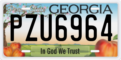 GA license plate PZU6964