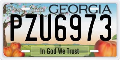 GA license plate PZU6973