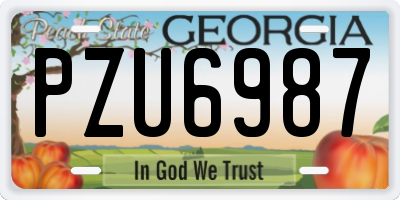 GA license plate PZU6987