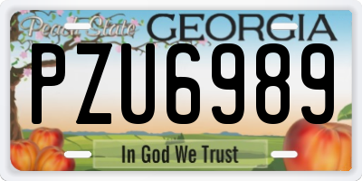 GA license plate PZU6989