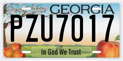 GA license plate PZU7017