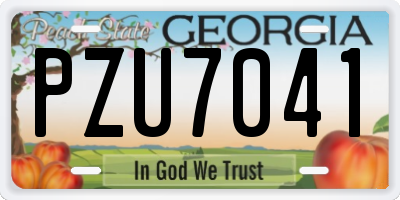 GA license plate PZU7041