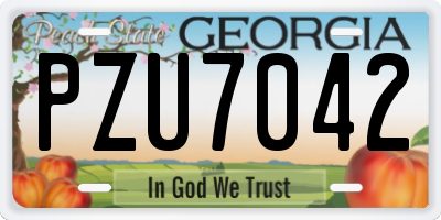 GA license plate PZU7042