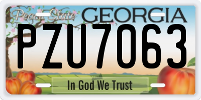 GA license plate PZU7063