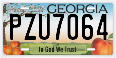 GA license plate PZU7064