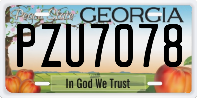 GA license plate PZU7078