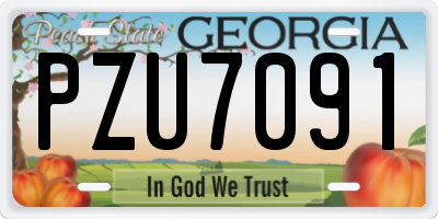 GA license plate PZU7091