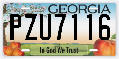 GA license plate PZU7116