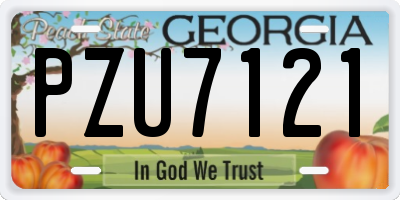 GA license plate PZU7121