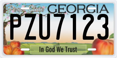 GA license plate PZU7123