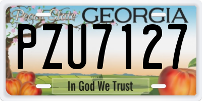 GA license plate PZU7127