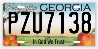 GA license plate PZU7138