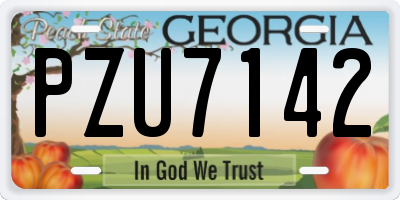 GA license plate PZU7142