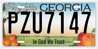 GA license plate PZU7147