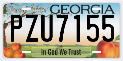 GA license plate PZU7155