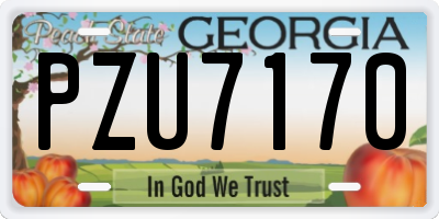 GA license plate PZU7170