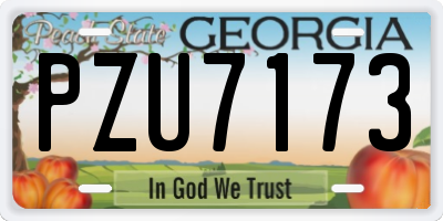 GA license plate PZU7173