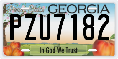 GA license plate PZU7182