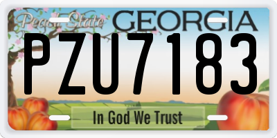 GA license plate PZU7183