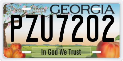GA license plate PZU7202