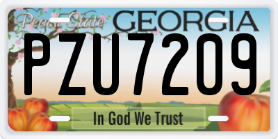GA license plate PZU7209