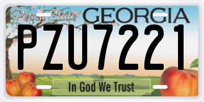 GA license plate PZU7221