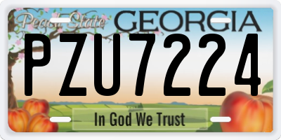 GA license plate PZU7224