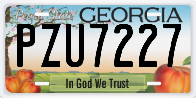 GA license plate PZU7227