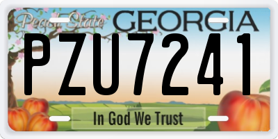 GA license plate PZU7241