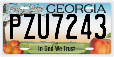 GA license plate PZU7243