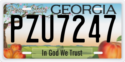 GA license plate PZU7247