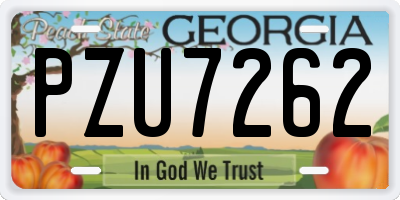 GA license plate PZU7262