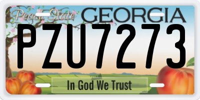 GA license plate PZU7273