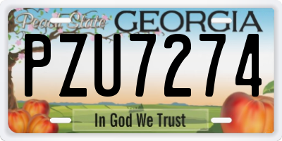 GA license plate PZU7274