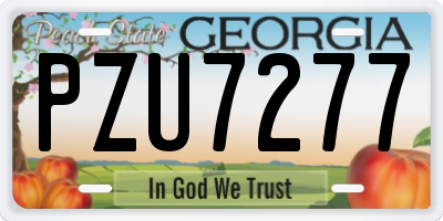 GA license plate PZU7277