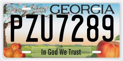 GA license plate PZU7289