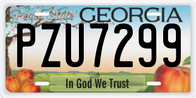 GA license plate PZU7299