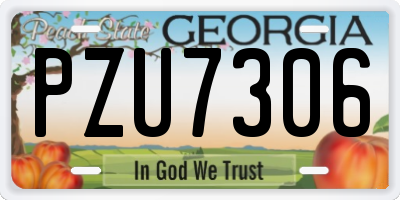 GA license plate PZU7306